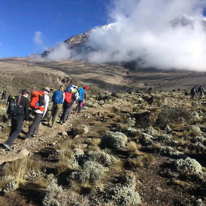 5-days-mount-kilimanjaro-climbing-itinerary-on-marangu-route