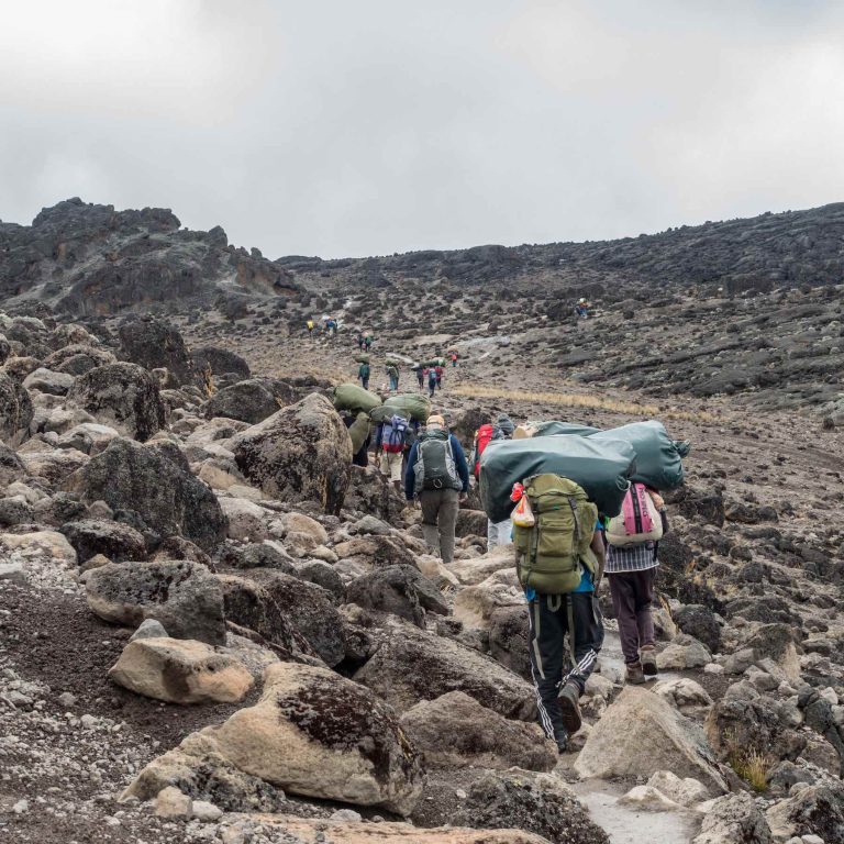 7-days-mount-kilimanjaro-climbing-itinerary-on-lemosho-route