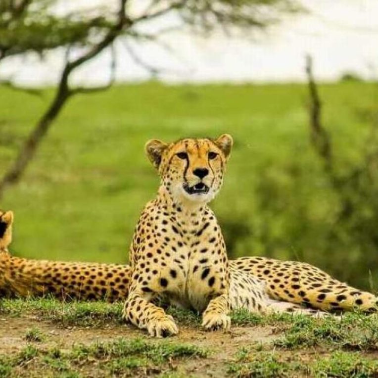 9-days-game-drive-walking-safari-itinerary