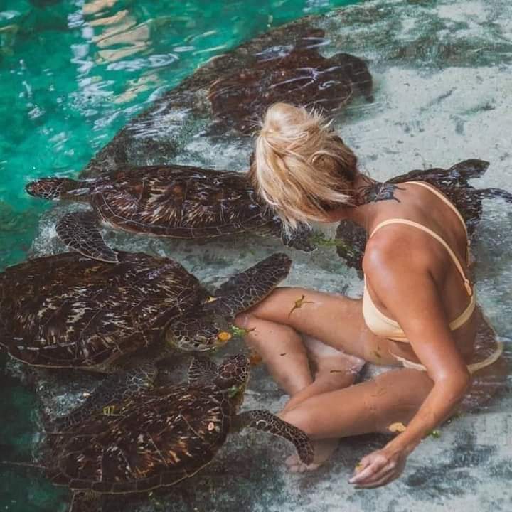 half-day-nakupenda-sandbank-tour