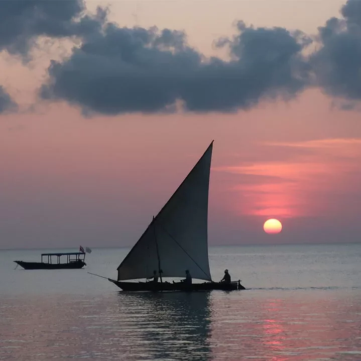 nungwi-turtles-private-sunset-dhow-cruise